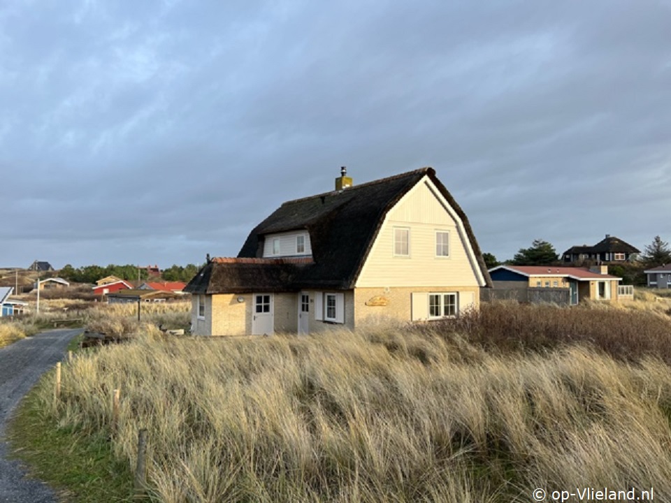 Buitenaanzicht Zonnebloem Buitenaanzicht Zonnebloem